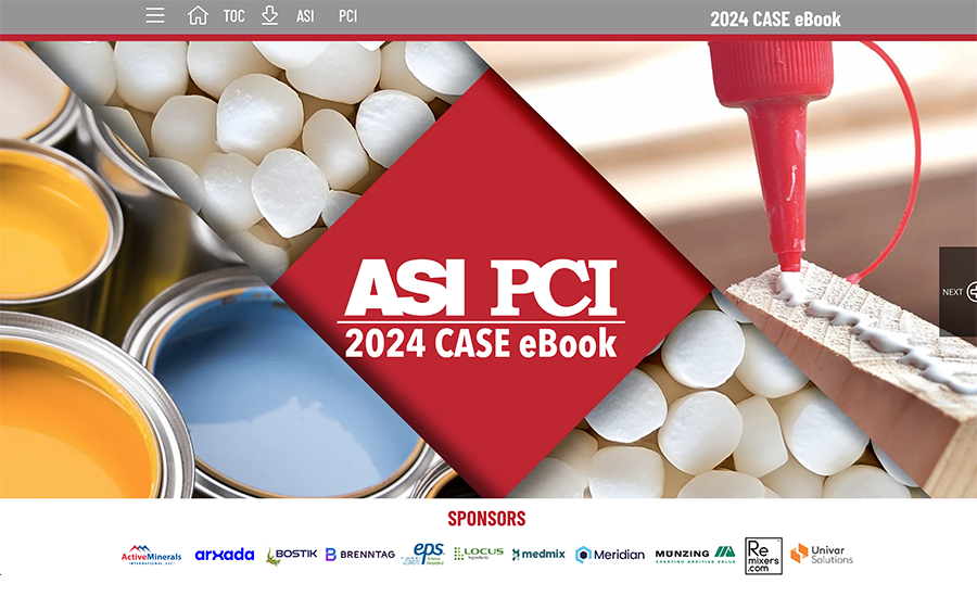 PCI/ASI case ebook