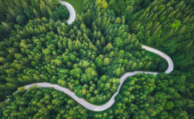 aerial shot of footpath through dense forest