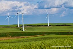 Photo of wind turbines